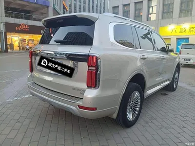 2023 Tank 500 3.0T Business Edition (5-seater), фото 4, лот 10344923