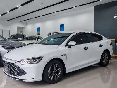 2021 BYD Qin PLUS DM-i 55KM Premium, фото 1, лот 11539723