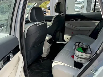 2024 Geely Galaxy Galaxy E5 530km Starship Edition, фото 4, лот 10430358