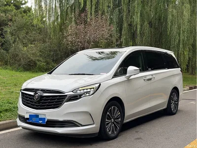 2021 Buick GL8 ES Landlord 653T Luxury, фото 1, лот 11386792