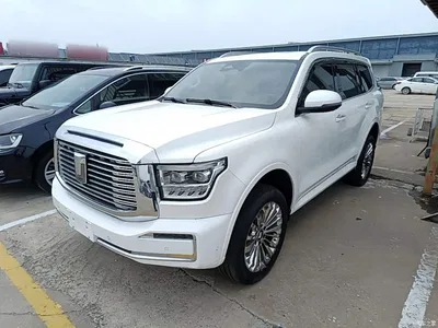 2022 Tank 500 3.0T Business Edition Zaojing 5-Seater, фото 2, лот 10345407