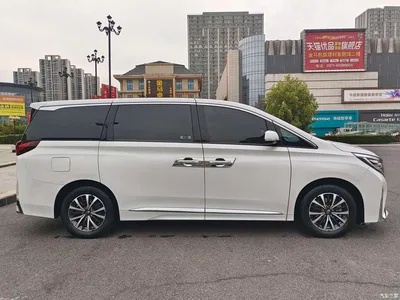 2024 GAC Trumpchi Trumpchi M8 Leadershow Series 390T Premium Edition, фото 4, лот 10415988