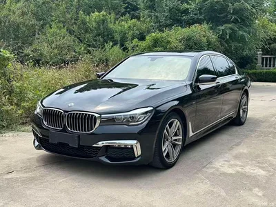 2018 BMW 7 Series 730Li Leading Type M Sport Package, фото 1, лот 10459261