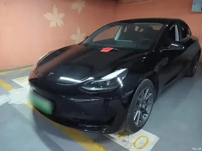 2022 Tesla Model 3 Model Rear-Wheel Drive Version, фото 1, лот 10375211