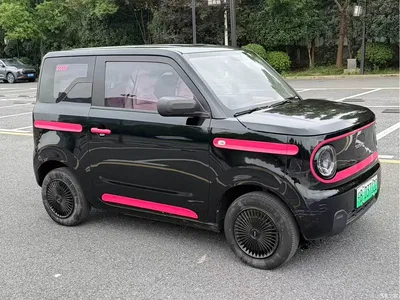 2023 Geely Galaxy Panda Mini 200km Endurance Bear, фото 3, лот 10431637