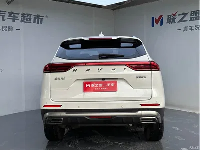 2023 Haval H6 National Trend Edition 1.5T Automatic Champion, фото 4, лот 10300195