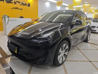 2022 Tesla Model Y Facelift Rear-Wheel Drive Version, фото 1, лот 10370049
