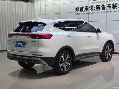 2021 Haval H6 Model National Trend Edition 1.5T Auto Champion, фото 4, лот 10315640