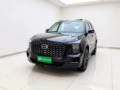 2022 GAC Trumpchi Trumpchi GS8 Pilot Series 2.0TGDI 2WD Luxury Smart Connect Edition (7-Seater), фото 2, лот 11184764