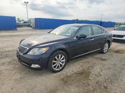 2009 LEXUS LS 460, фото 1, лот 10668386
