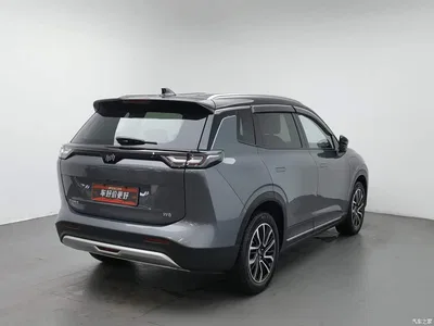 2021 Weltmeister W6 520km PRO All-round Edition, фото 2, лот 11592702