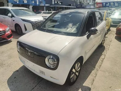 2021 Ora Black Cat 351km Standard Model, фото 2, лот 10330489