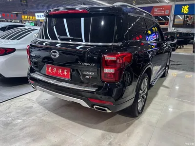2017 GAC Trumpchi Trumpchi GS8 320T 2WD Luxury Smart Connect (7-seater), фото 4, лот 10417614