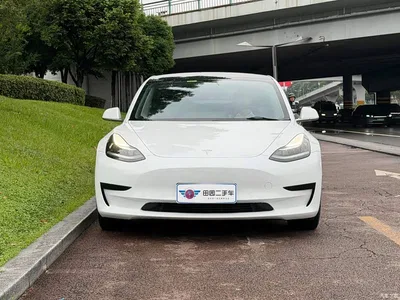 2020 Tesla Model 3 Standard Range Rear-Wheel Drive Upgrade, фото 2, лот 11178339