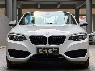 2019 BMW 2 Series (Import) 225i Convertible Coupe Sport Design Package, фото 2, лот 10239061