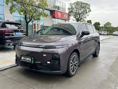 2025 Leapmotor B10 510 Joy Edition, фото 1, лот 11396959