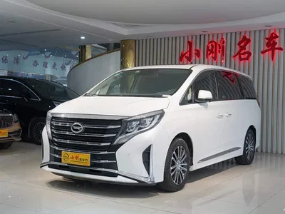 2021 GAC Trumpchi Trumpchi M8 Leading Show Series 390T Ultimate Edition, фото 2, лот 11550278