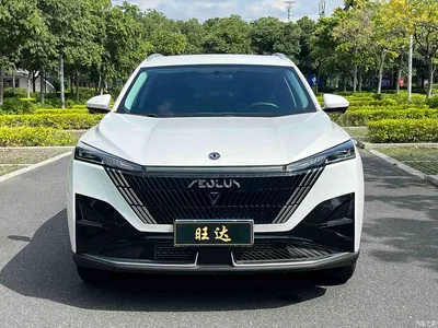 2025 Dongfeng Aeolus Haohan 1.5T Luxury, фото 2, лот 11547510