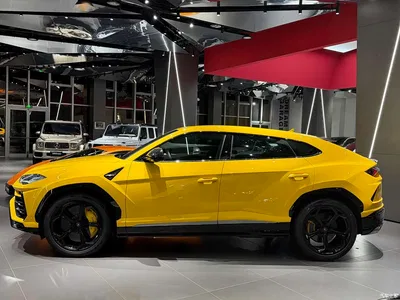 2021 Lamborghini Urus 4.0T V8, фото 4, лот 10309072