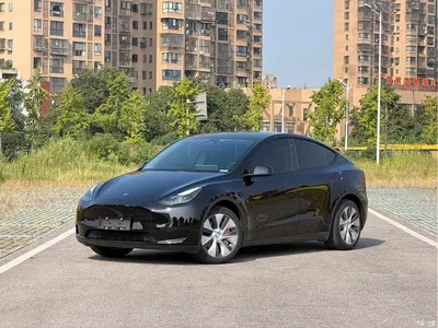 2022 Tesla Model Y Rear-Wheel Drive Version, фото 2, лот 11184326