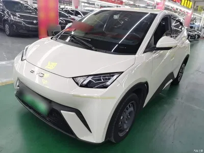 2024 BYD Seagull Glory Edition 305km Vitality Edition, фото 1, лот 11564748
