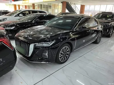 2025 Hongqi H5 2.0T Automatic Flag Celebration 500,000 Units Anniversary Edition, фото 2, лот 10289594