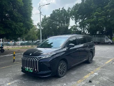 2024 Dongfeng Starlight V9 1.5TD 200km Chinese Knot Series Luxury, фото 1, лот 11181017