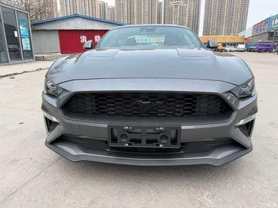 2021 Ford Mustang 2.3T EcoBoost Obsidian Phantom Special Edition, фото 2, лот 10297315