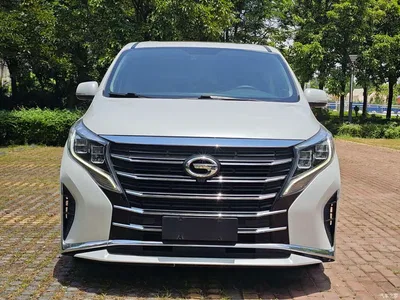 2021 GAC Trumpchi Trumpchi M8 Leading Show Series 390T Luxury Edition, фото 2, лот 10416039