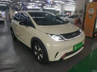 2025 BYD Dolphin 420km Freedom Edition, фото 4, лот 10319497