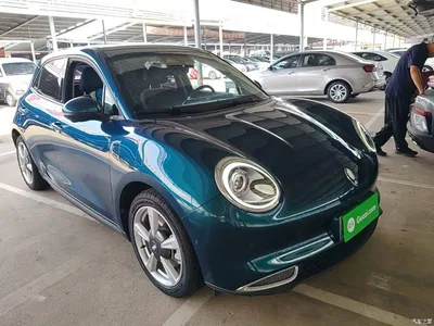 2021 Ora Good Cat 400km Standard Range Athena Edition (NCM), фото 4, лот 10330549