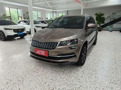 2022 Škoda Karoq TSI280 Premium Edition, фото 1, лот 10959490
