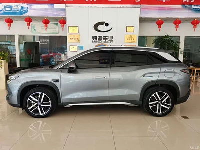 2025 BYD Song L DM-i Smart Drive Edition 112km Surpassing, фото 4, лот 10273611