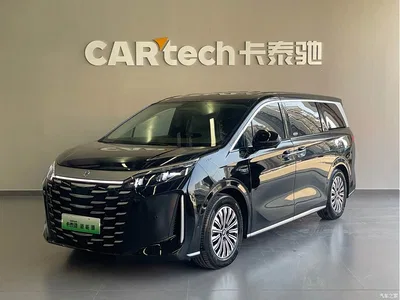 2025 BYD Xia DM-i 1.5T 180km Surpass Edition, фото 1, лот 10248380