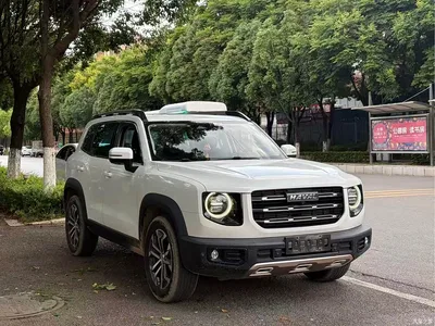 2021 Haval Big Dog 1.5T DCT 2WD Husky Edition, фото 3, лот 10361747