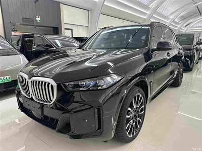 2023 BMW X5 xDrive 40Li M Sport Black Night Package, фото 1, лот 11137413