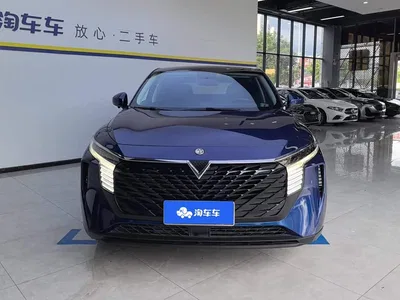 2021 Venucia Big V 260T Idol Edition, фото 2, лот 11153919