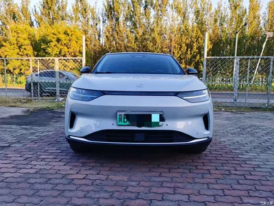 2021 Leapmotor C11 Executive Edition 610, фото 3, лот 11525156