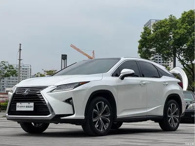2016 Lexus RX 300 4WD Luxury Edition China V, фото 1, лот 10630172