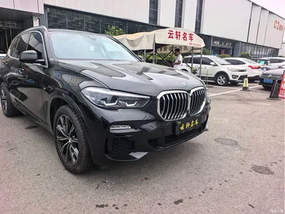 2021 BMW X5 (Import) Facelift xDrive30i M Sport Package, фото 3, лот 10956831