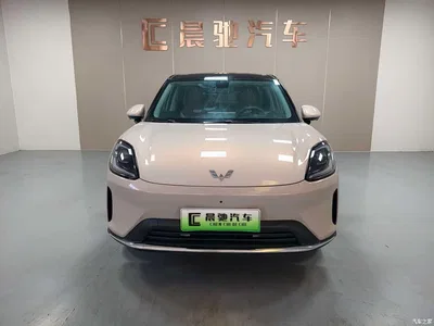 2025 Wuling Motors Wuling Bingo S Model 325km Flagship Edition, фото 2, лот 10836395