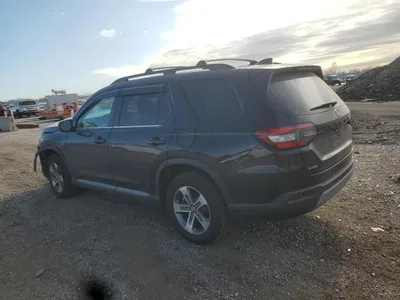 2024 HONDA PILOT EXL, фото 2, лот 10726096