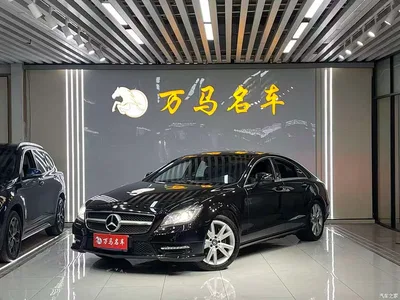 2012 Mercedes-Benz CLS 300 CGI, фото 2, лот 10299562