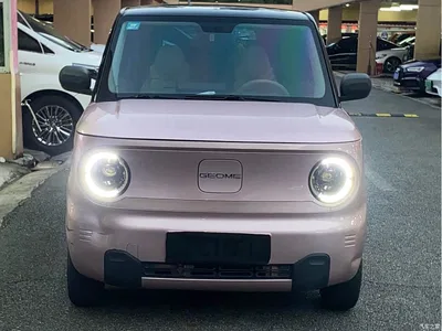 2023 Geely Galaxy Panda Mini 200km Endurance Bear, фото 2, лот 10429532