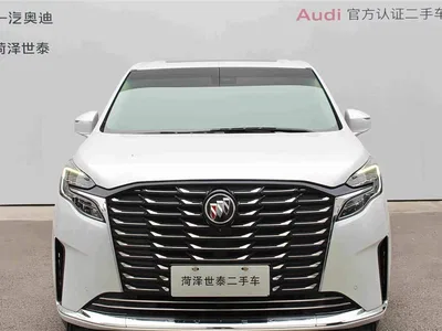 2023 Buick GL8 ES Landmaster Exclusive, фото 3, лот 11137512