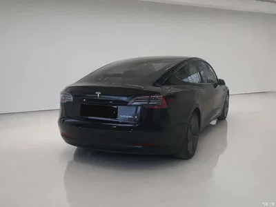 2022 Tesla Model 3 Model Rear-Wheel Drive Version, фото 4, лот 10383617
