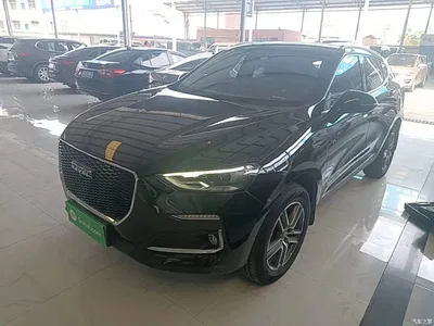 2020 Haval F5 1.5T DCT i-Type, фото 2, лот 10285992