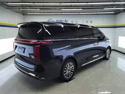 2023 WEY Alpine AWD Executive Long Wheelbase, фото 3, лот 10835336