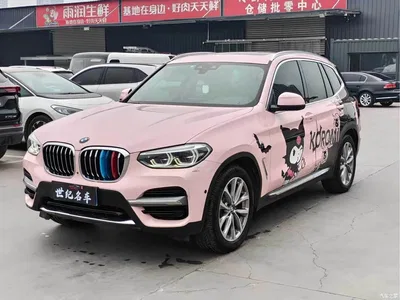 2020 BMW X3 xDrive25i Luxury Package, фото 1, лот 11174484