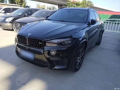 2017 BMW X6 xDrive28i, фото 1, лот 11545484